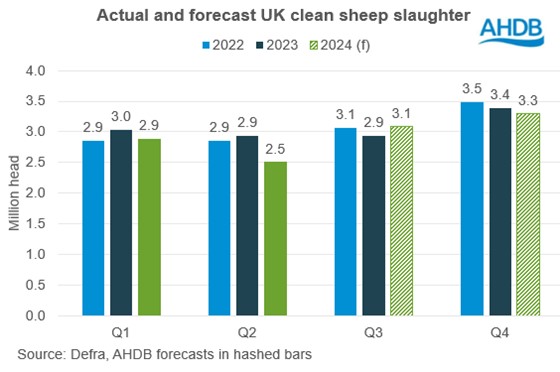 graph showing uk actual and forecast sheep slaughter